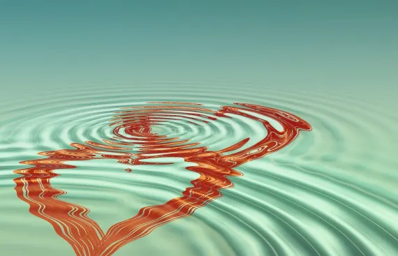 Fortune Casino תמיכה